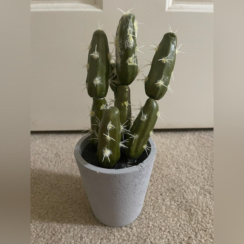 Faux Mini Cactus Decoration